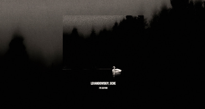 Levandowskiy, SCHE - Это здорово