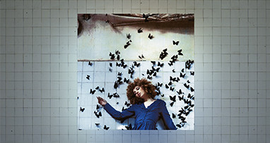 anikv---o-chem-mechtat